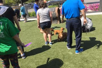 Dog Park at Stony Point Fashion Park